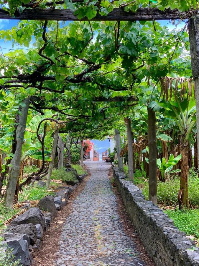 Faja Dos Padres Villa Ribeira Brava Bagian luar foto