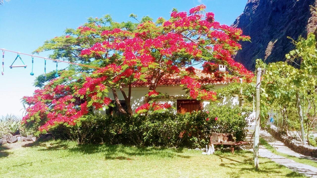 Faja Dos Padres Villa Ribeira Brava Bagian luar foto