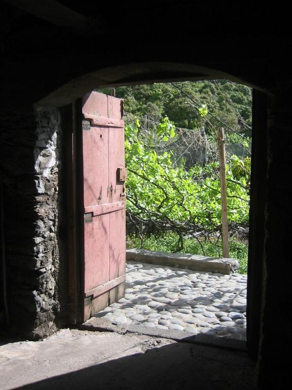 Faja Dos Padres Villa Ribeira Brava Bagian luar foto