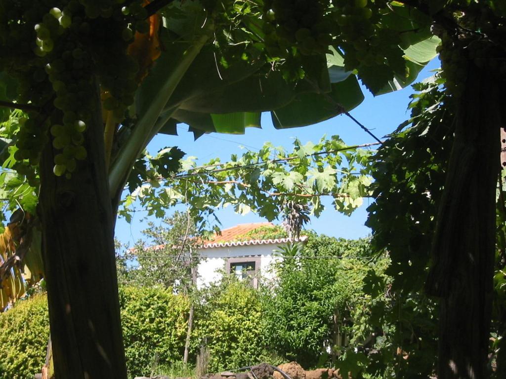Faja Dos Padres Villa Ribeira Brava Bagian luar foto